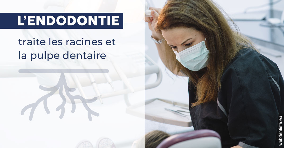 https://dr-azuelos-alain.chirurgiens-dentistes.fr/L'endodontie 1