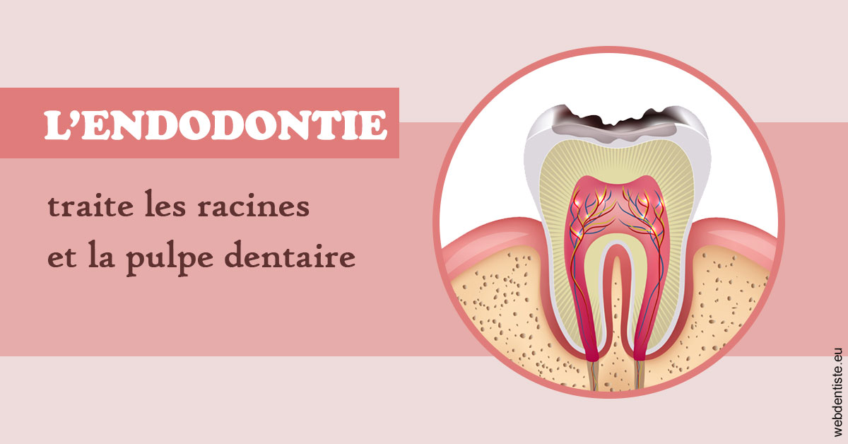 https://dr-azuelos-alain.chirurgiens-dentistes.fr/L'endodontie 2